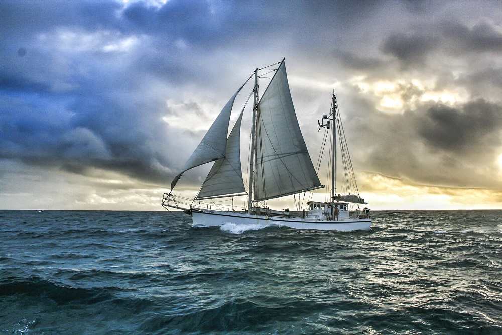 Sailboat trader outlet